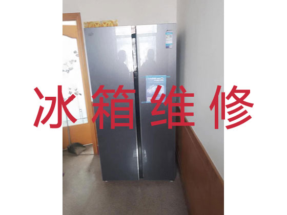 广州冰箱维修-家电维修